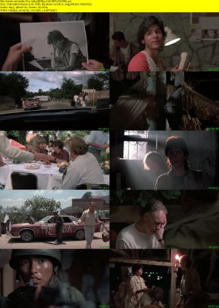Under Fire 1983 BRRip XviD MP3-RARBG