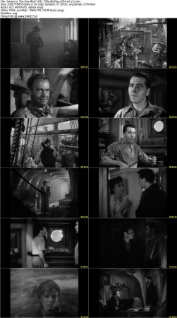 The Sea Wolf 1941 720p BluRay x264 x0r