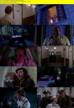 Crimewave 1985 BRRip XviD MP3-RARBG