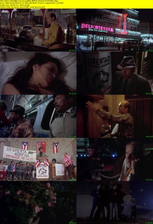 Badge 373 1973 1080p BluRay H264 AAC-RARBG