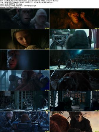 War for the Planet of the Apes 2017 BluRay 1080p AC3 x264-3Li