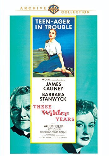 These Wilder Years 1956 720p HDTV x264-REGRET