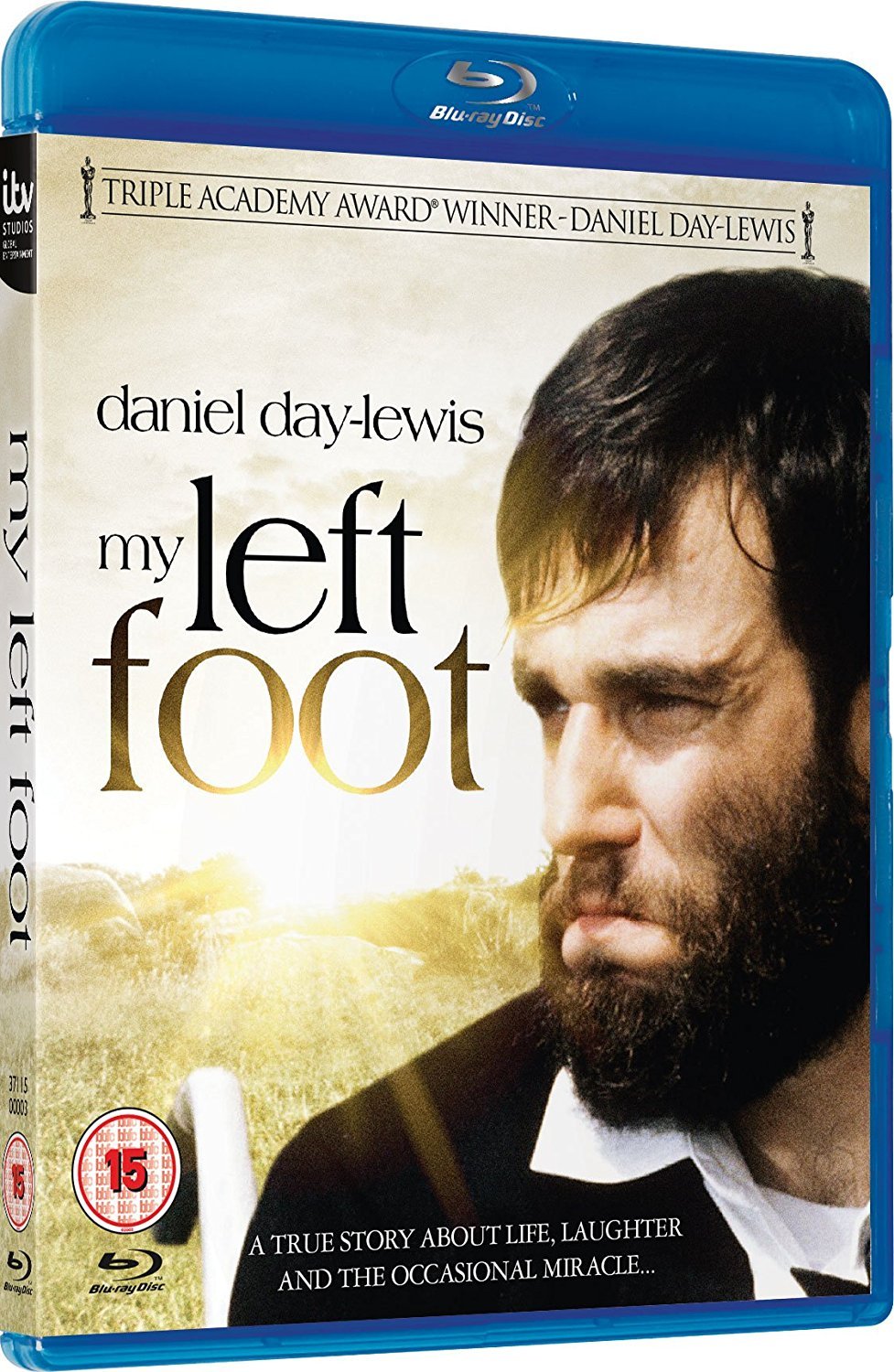 the film my left foot