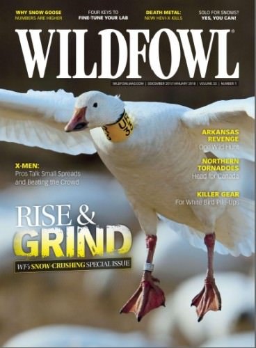 Wildfowl - December 2017/January 2018