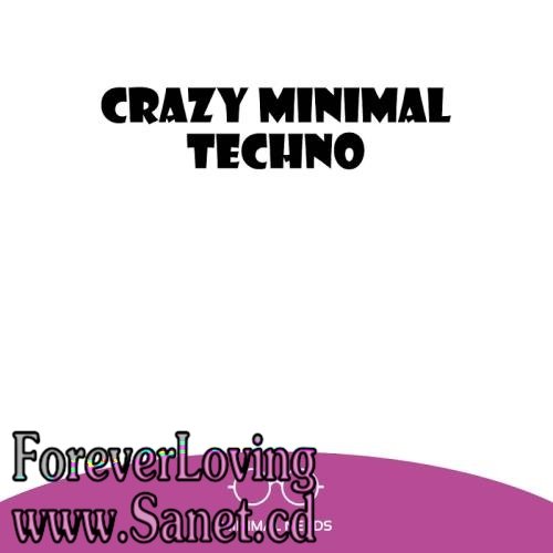 Crazy Minimal Techno (2017)