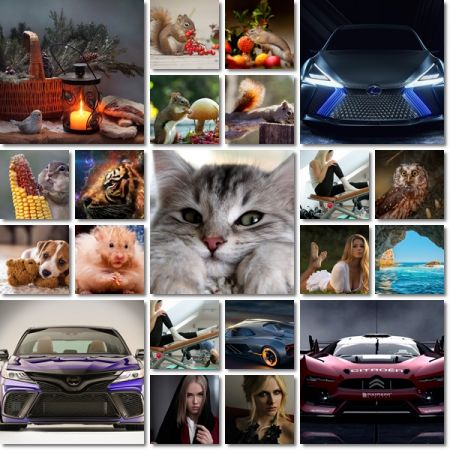 Desktop Beautiful Wallpapers Pack 1003