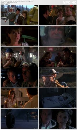 Always 1989 BluRay 10Bit 1080p DD5.1 H265-d3g