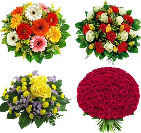 Beautiful Flowers part15