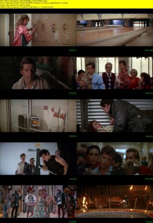 Grease 2 1982 WEBRip x264-RARBG
