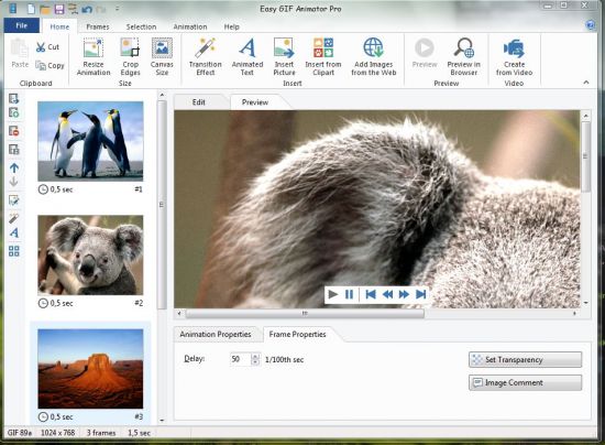 Blumentals Easy GIF Animator Pro 7.1.0.59 Portable