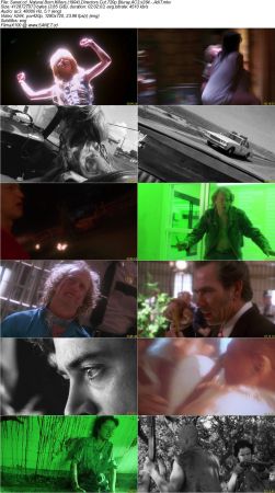 Natural Born Killers 1994 Directors Cut 720p Bluray AC3 x264 AdiT
