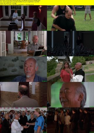The Next Karate Kid 1995 720p BluRay H264 AAC-RARBG
