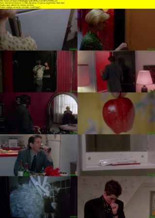 Heart of Midnight 1988 BRRip XviD MP3-RARBG