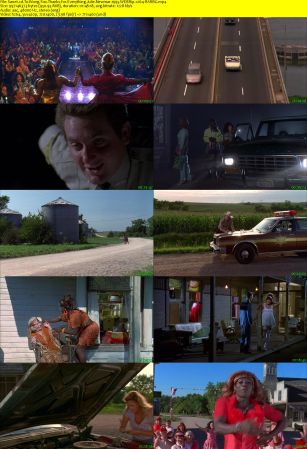 To Wong Foo Thanks for Everything Julie Newmar 1995 WEBRip x264-RARBG