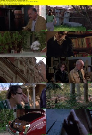 Shine 1996 BRRip XviD MP3-RARBG