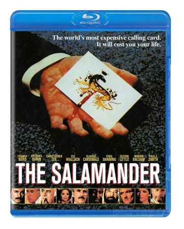 The Salamander 1981 BRRip XviD MP3-RARBG