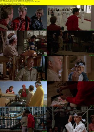 The Karate Kid 1984 BRRip XviD MP3-RARBG
