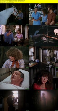 Summer of Fear 1978 iNTERNAL BDRip x264-LiBRARiANS