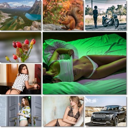 Desktop Beautiful Wallpapers Pack 995