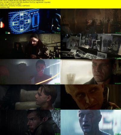 Blade Runner 1982 BRRip X264 AC3-PLAYNOW