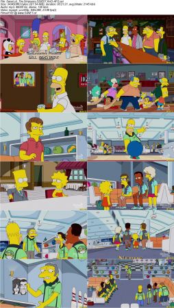 The Simpsons S29E07 XviD-AFG