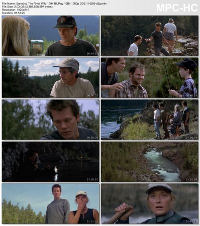The River Wild 1994 BluRay 10Bit 1080p DD5.1 H265-d3g