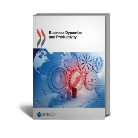 Business Dynamics and Productivity