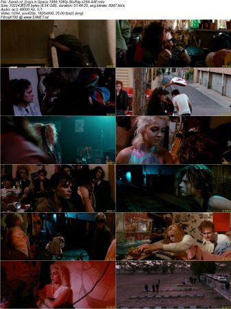 Dogs in Space 1996 1080p BluRay x264-AAF