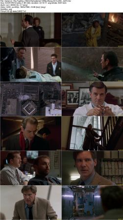 The Fugitive 1993 Remastered 1080p Bluray AC3 x264 AdiT