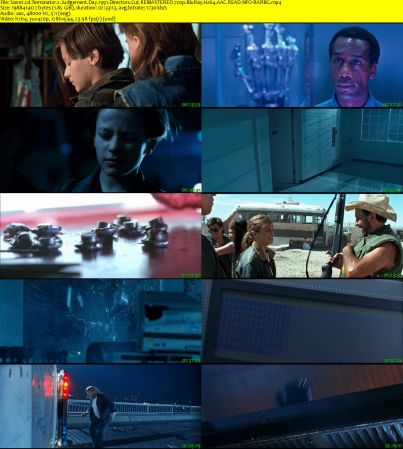 Terminator 2 Judgement Day 1991 Directors Cut REMASTERED 720p BluRay H264 AAC READ NFO-RARBG