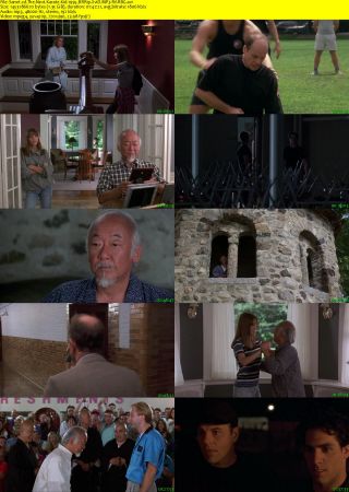 The Next Karate Kid 1995 BRRip XviD MP3-RARBG