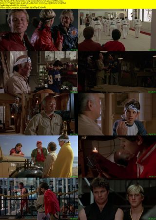 The Karate Kid 1984 1080p BluRay H264 AAC-RARBG
