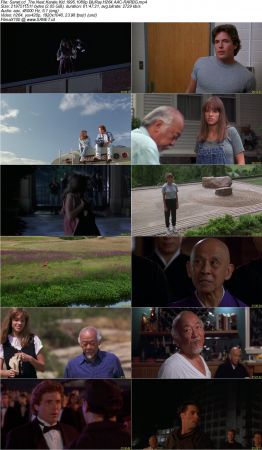 The Next Karate Kid 1995 1080p BluRay H264 AAC-RARBG