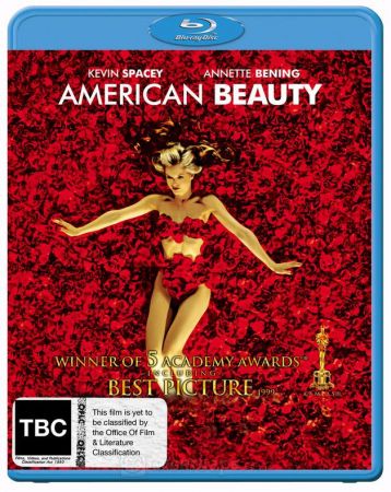 American Beauty 1999 BluRay 10Bit 1080p DD5.1 H265-d3g