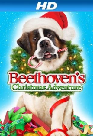Beethovens Christmas Adventure 2011 WEBRip x264-RARBG