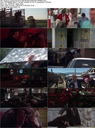 Scarecrow 1973 720p BluRay H264 AAC-RARBG