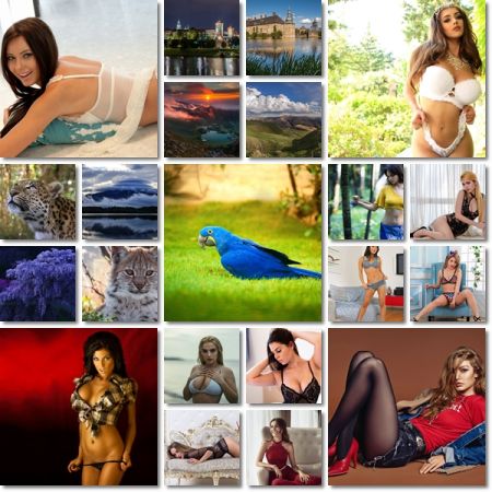 Desktop Beautiful Wallpapers Pack 1017