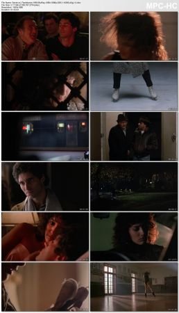 Flashdance 1983 BluRay 10Bit 1080p DD5.1 H265-d3g