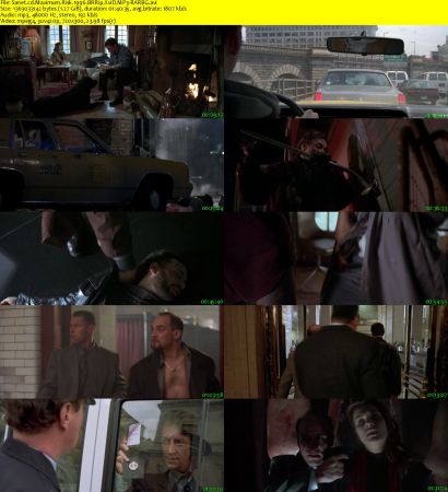 Maximum Risk 1996 BRRip XviD MP3-RARBG