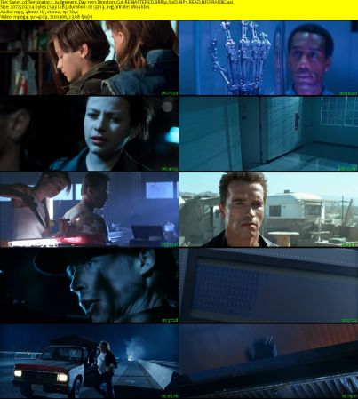 Terminator 2 Judgement Day 1991 Directors Cut REMASTERED BRRip XviD MP3 READ NFO-RARBG