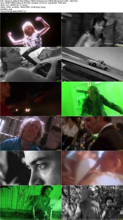 Natural Born Killers 1994 Directors Cut 1080p Bluray AC3 x264 AdiT
