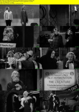 Young Frankenstein 1974 1080p BluRay H264 AAC-RARBG