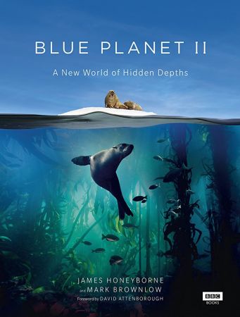 Blue Planet II S01E05 Green Seas 720p AMZN WEBRip DDP5.1 x264-NTb