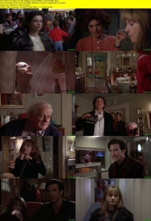 Home for the Holidays 1995 WEBRip x264-RARBG