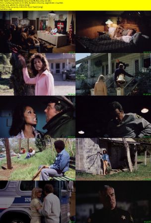 The Klansman 1974 720p BluRay x264-x0r