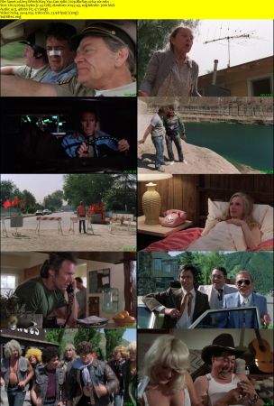 Any Which Way You Can 1980 720p BluRay x264-x0r