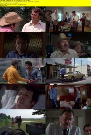 Walking Tall 1973 720p BluRay x264-x0r