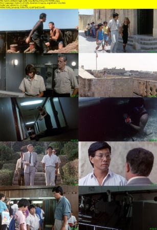 Black Eagle 1988 720p BluRay H264 AAC-RARBG
