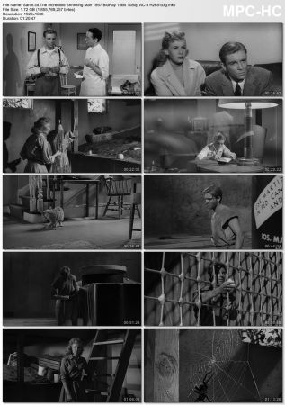 The Incredible Shrinking Man 1957 BluRay 10Bit 1080p AC-3 H265-d3g