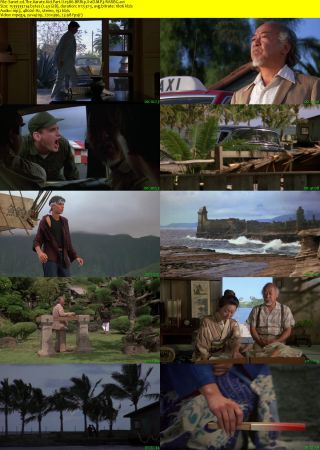 The Karate Kid Part II 1986 BRRip XviD MP3-RARBG